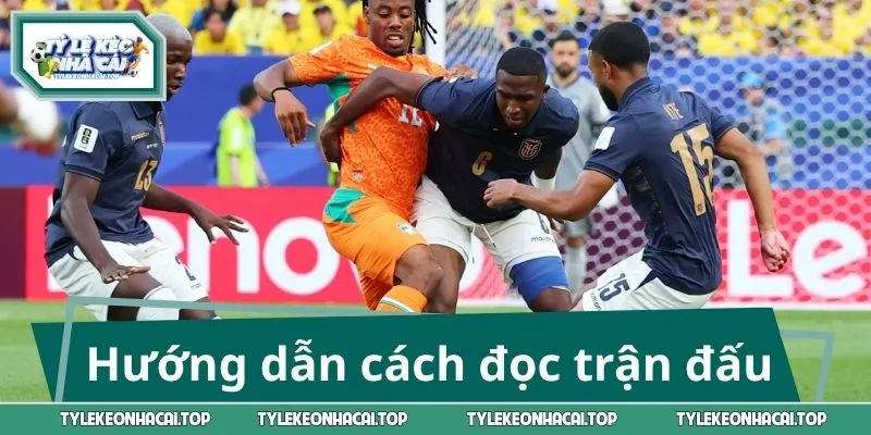 Hướng dẫn cách đọc trận đấu để đặt kèo tỷ số chẵn lẻ